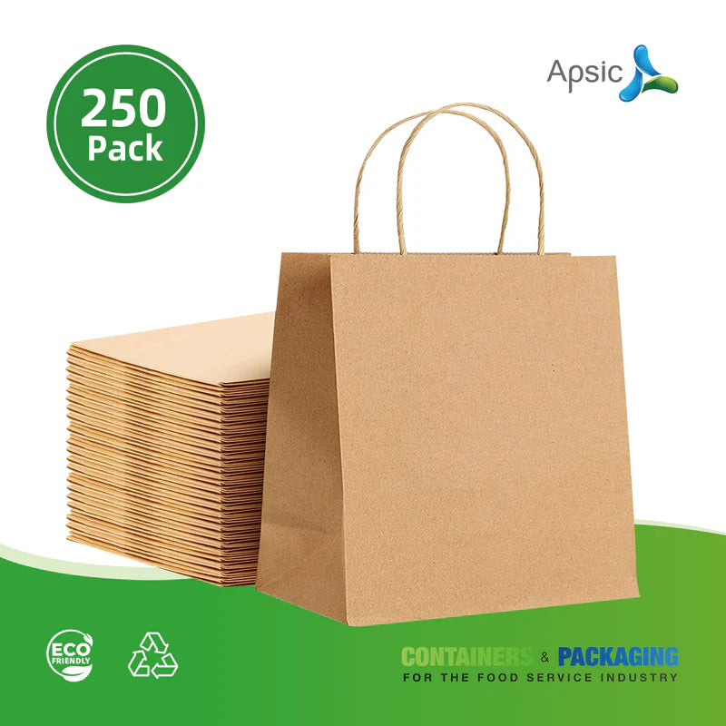 Kraft Paper Bag with Twist Handle KPB05 - 250/case