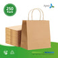 Kraft Paper Bag with Twist Handle KPB10 - 250/case